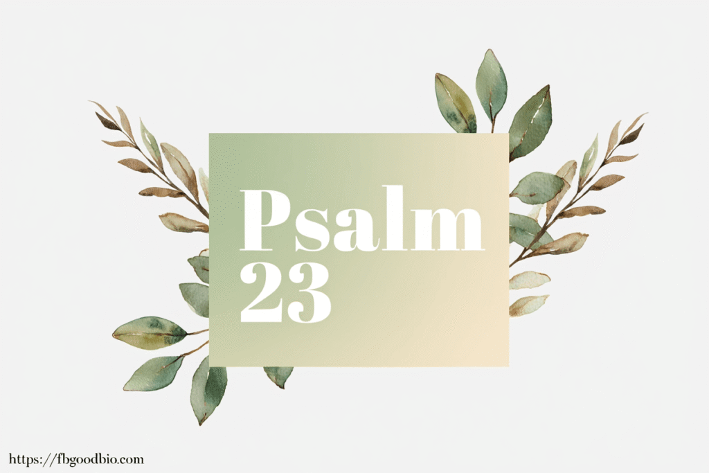 Psalm 23 as a source of comfort and spiritual guidance