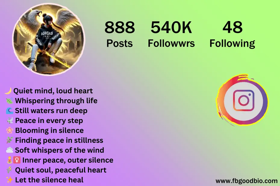 silent bio for instagram