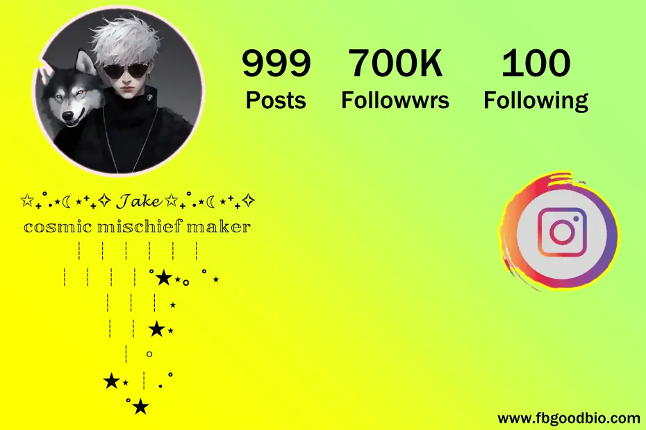 aesthetic bio for instagram for boy