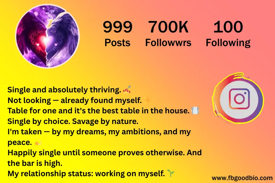 bio for instagram for girls 5