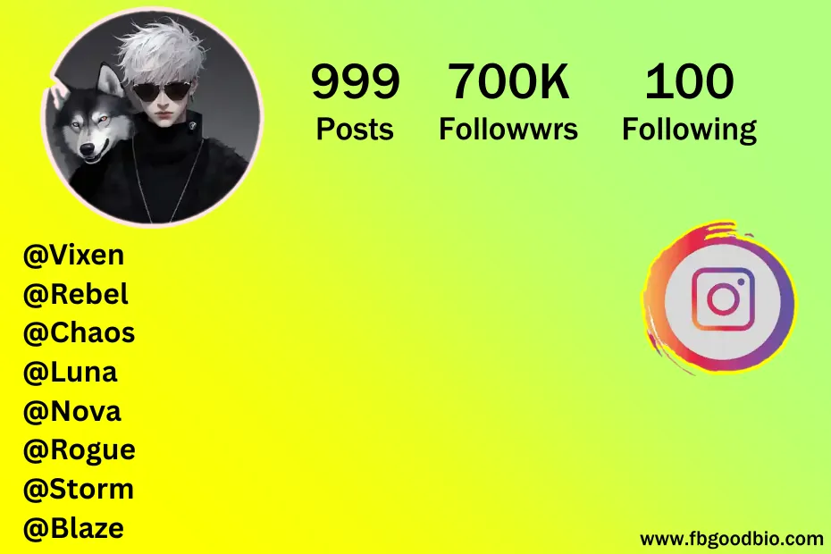 crazy username for instagram for girl 6