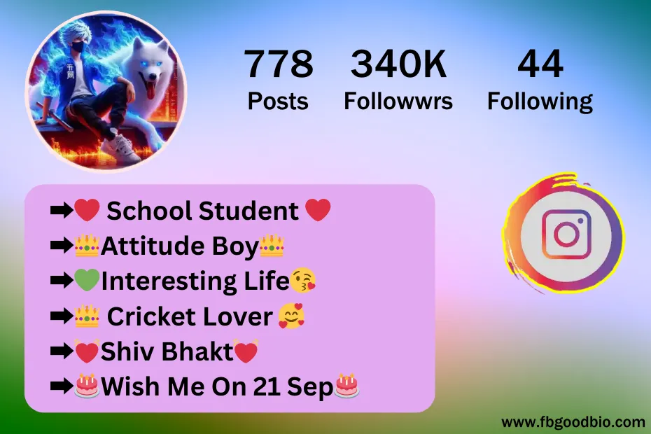 instagram bio student boy