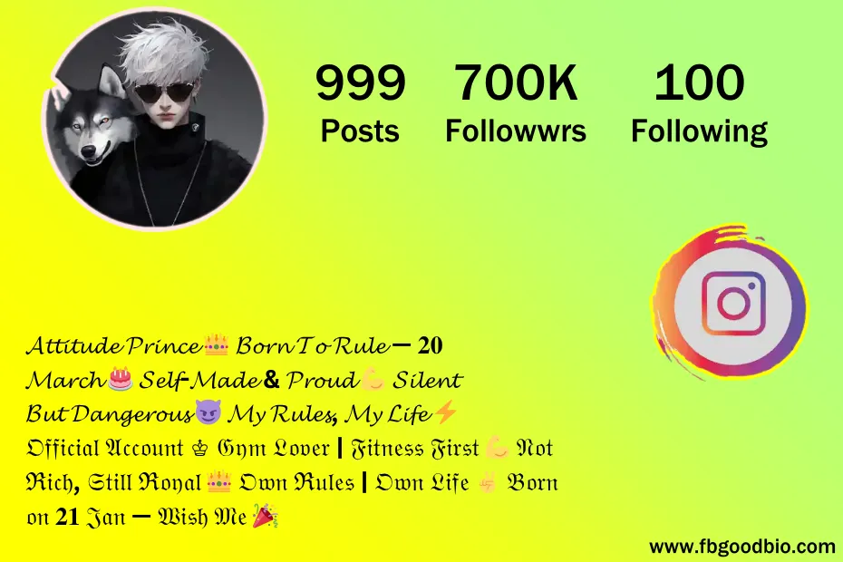 instagram bio style 6