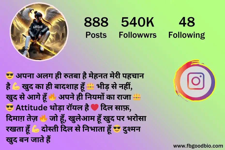 instagram bio style 7