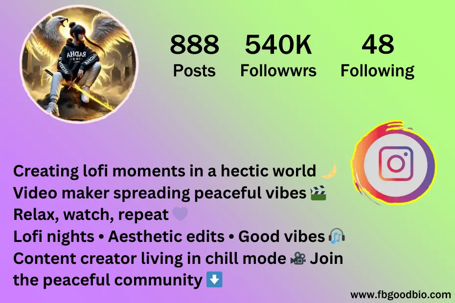 video creator bio for instagram 7